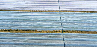 Regiony z największymi mrozami i prognozy do 30 kwietnia przymrozek