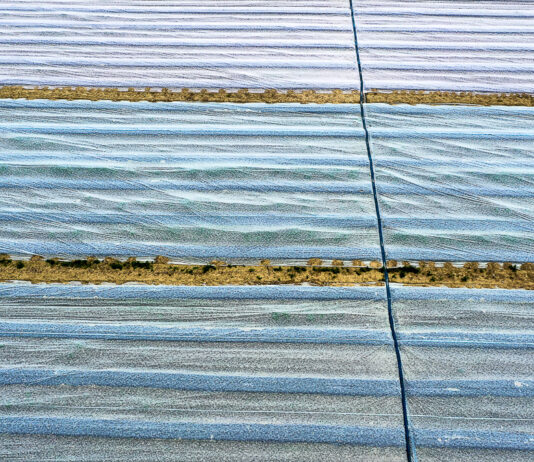 Regiony z największymi mrozami i prognozy do 30 kwietnia przymrozek