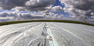 Kiedy i gdzie mogą wystąpić przymrozki?