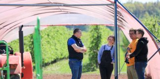 Ruszamy z projektem – 100 ton ogórków z hektara