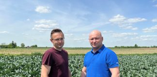 Agrowłókniny – jak spisały się na Kalafiorowej Demo Farmie?