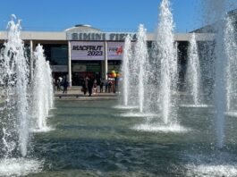 Macfrut 2023 – szeroki wachlarz konferencji, bogata wystawa