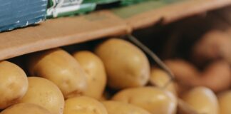 Głębokość sadzenia ziemniaków