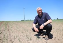 Ochrona cebuli przed chorobami + chwasty jednoliścienne – nowe i sprawdzone rozwiązania