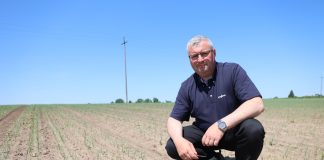 Ochrona cebuli przed chorobami + chwasty jednoliścienne – nowe i sprawdzone rozwiązania