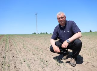 Ochrona cebuli przed chorobami + chwasty jednoliścienne – nowe i sprawdzone rozwiązania