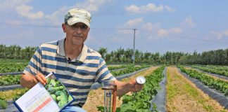 Ogórki na #100ton. Zaczynamy fertygację