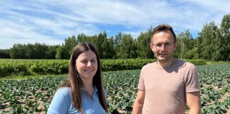 Ochrona i biostymulacja kalafiorów wiosną