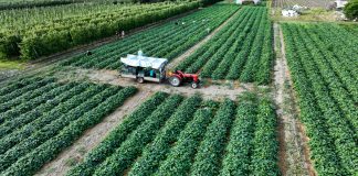 Koniec naboru dla grup producentów rolnych. Złożono zaledwie 5 wniosków!