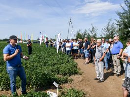 Uprawa pomidorów w sezonie 2023 na szkoleniu w Kotlinie, cz. I