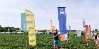 Uprawa pomidorów w sezonie 2023 na szkoleniu w Kotlinie, cz. II