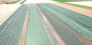 Pomoc suszowa 2023 Pomoc suszowa 2023