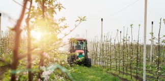 Restrukturyzacja małych gospodarstw 2023 – warunki, kiedy?