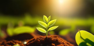 Biodegradacja – na czym polega co to jest biodegradacja