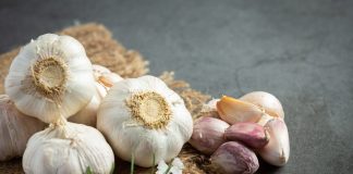 Choroby czosnku – żółknięcie liści – przyczyny, oprysk na czosnek zimowy opryski na czosnek zimowy