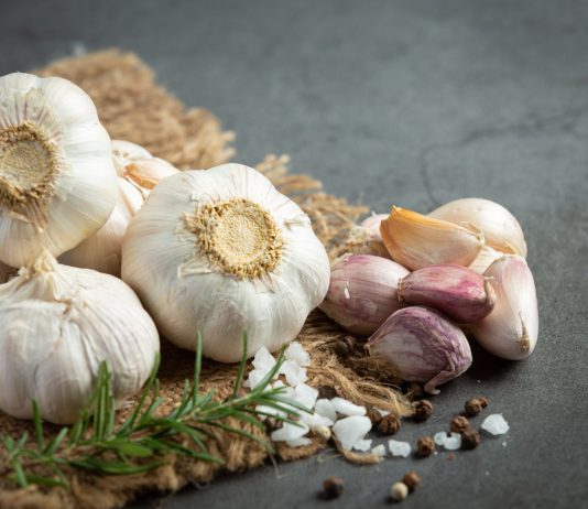 Choroby czosnku – żółknięcie liści – przyczyny, oprysk na czosnek zimowy opryski na czosnek zimowy