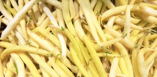 Fasolka szparagowa, bób – ceny warzyw, notowania – Fasolka szparagowa, bób – Giełda Kaliska – 2023 fasolka