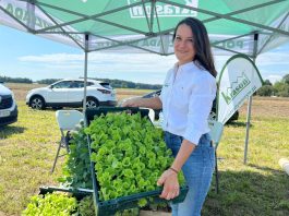 Rozsada papryki pozwalająca generować dodatkowy dochód