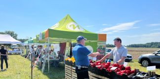 Nowa, obiecujące odmiany papryki