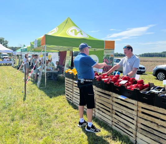 Nowa, obiecujące odmiany papryki