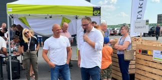 Cebula nie tylko na obieranie