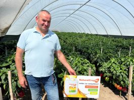 Biostymulacja i odżywianie papryki