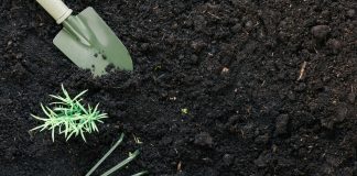 Dopłaty do nawozów 2023 – termin, od kiedy? Czy będą? – ARiMR