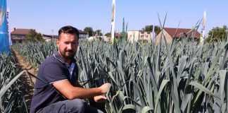 Nawożenie porów – sprawdzone rozwiązania