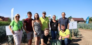 Pory przez cały rok – nowe odmiany