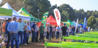 Brokułowe SHOW w Brukach Unisławskich