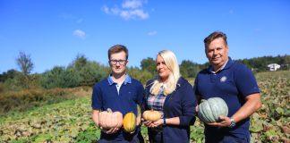 Czas na dynie (film)