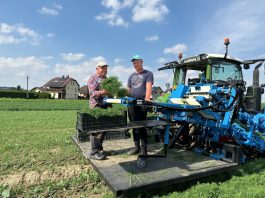 Kombajnowy zbiór natki koperku, pietruszki, szczypiorku i wielu innych Młody rolnik 2024 – ile trzeba będzie czekać na wypłatę pieniędzy?