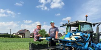 Kombajnowy zbiór natki koperku, pietruszki, szczypiorku i wielu innych Młody rolnik 2024 – ile trzeba będzie czekać na wypłatę pieniędzy?