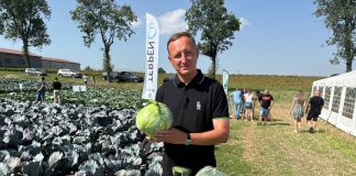 Sprawdzone standardy i nowości w odmianach kapust od Bejo w Charsznicy Paweł Glanowski Charsznica