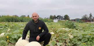 Dynie i inne warzywa w sprzedaży bezpośredniej