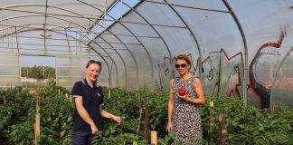 Potas, wapń i azot w uprawie papryki – doświadczenia na Uniwersytecie Rolniczym w Krakowie