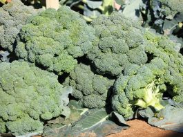 Ostatni dzień na złożenie wniosku!