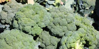 Ostatni dzień na złożenie wniosku!