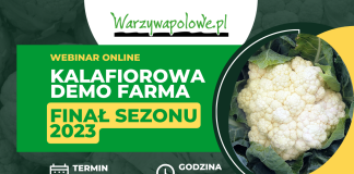Kalafiorowa Demo Farma – Finał sezonu 2023 – webinar online