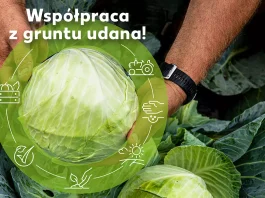 Kaufland promuje lokalnych dostawców owoców i warzyw