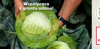 Kaufland promuje lokalnych dostawców owoców i warzyw