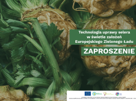 Technologia uprawy selera w świetle założeń Europejskiego Zielonego Ładu