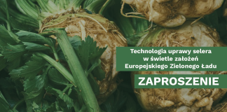 Technologia uprawy selera w świetle założeń Europejskiego Zielonego Ładu