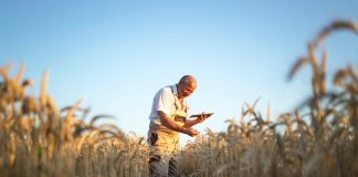 WPR 2023-2027 – Plan Strategiczny dla Wspólnej Polityki Rolnej