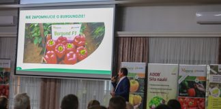 Papryka. Jak dobrze przygotować się do nowego sezonu?