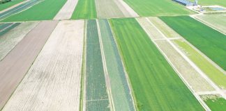 Prezydent podpisał nowelizację ustawy o ubezpieczeniach upraw rolnych