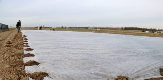 Agrowłóknina do zabezpieczenia kalafiorów przed przymrozkami