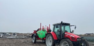 Acetamipryd – drastyczne zmiany w jego stosowaniu.