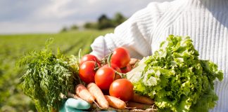 Dofinansowanie do rolnictwa ekologicznego