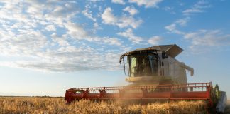 Kto płaci podatek rolny – właściciel czy dzierżawca?